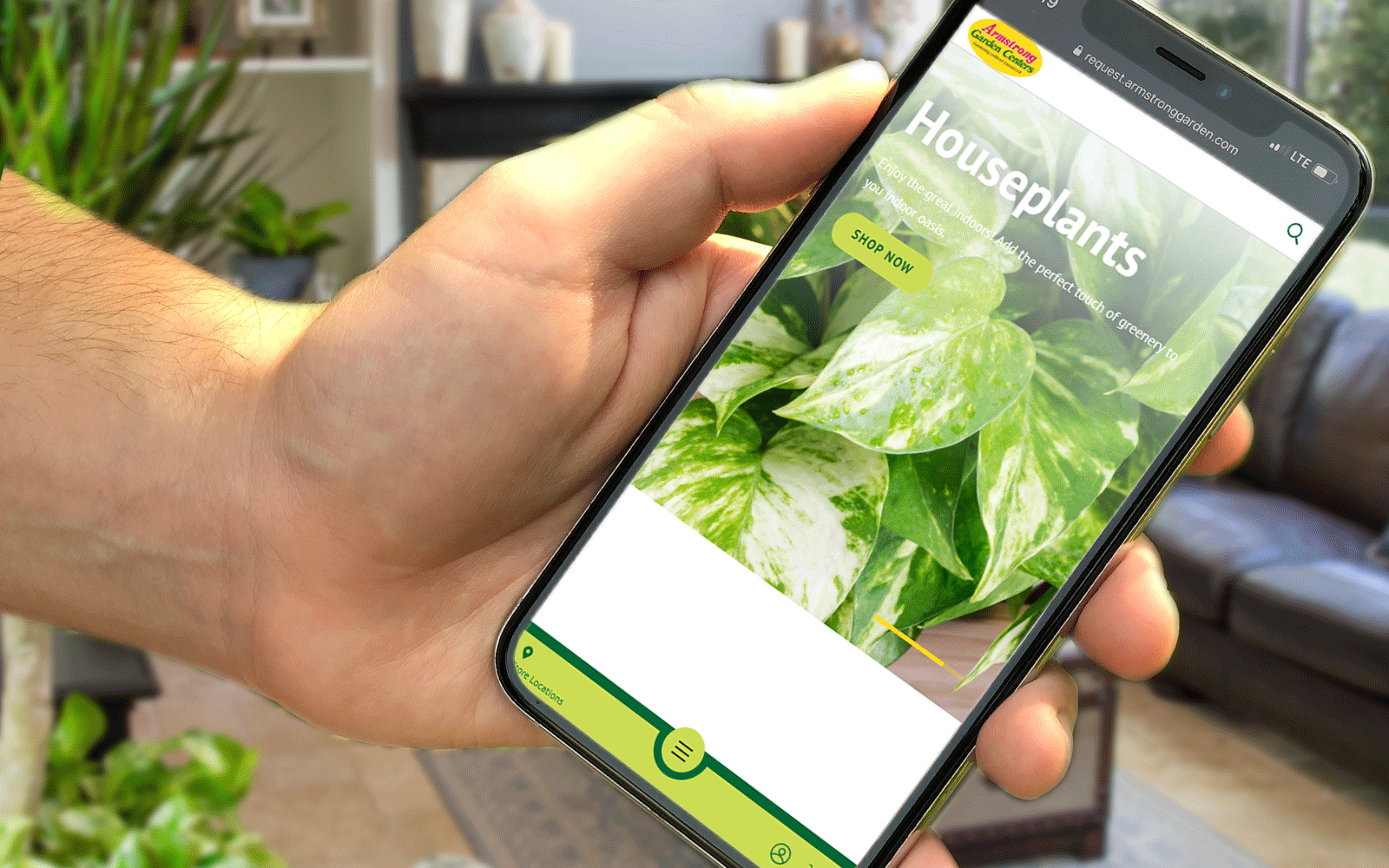 shop online for curbside and local delivery