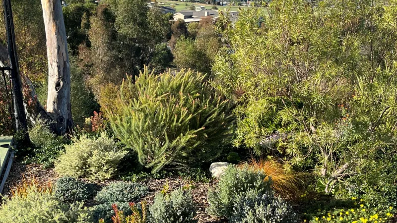 A garden design with a beautiful vista!