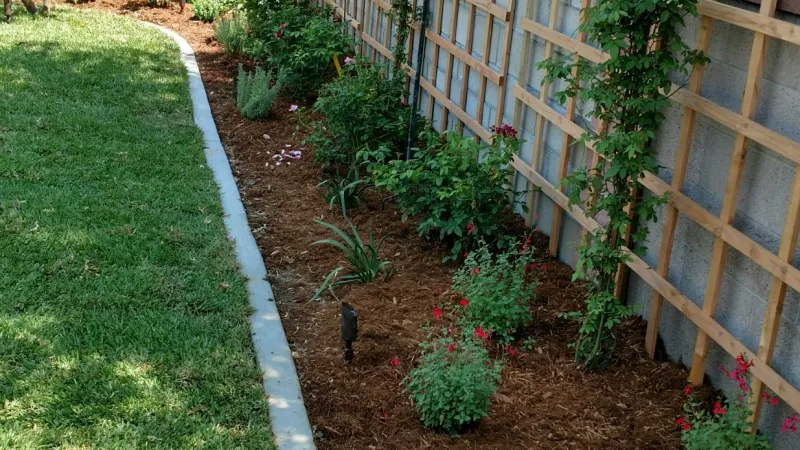 Trellis design to disguise an unsightly fence.