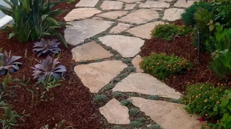 Peaceful flagstone garden path
