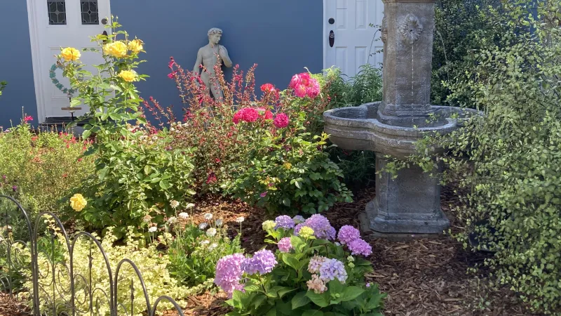 Hydrangeas and pittosporum silver sheens frame a handsome Armstrong fountain