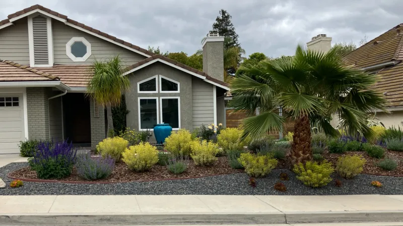 Modern suburban house with landscaped front yard featuring palm trees, shrubs, and gravel under a cloudy sky