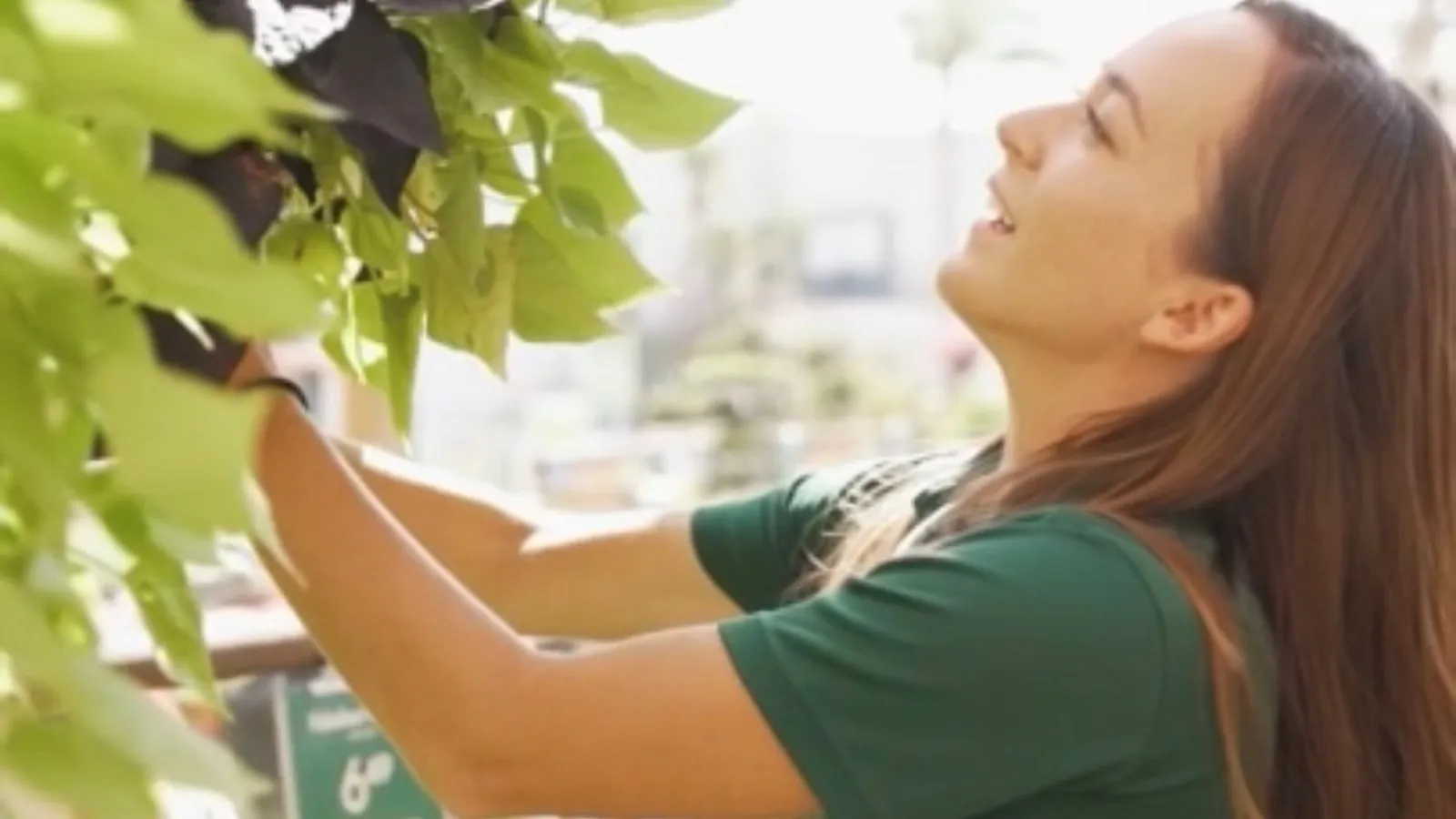 a person holding a bouquet of flowers