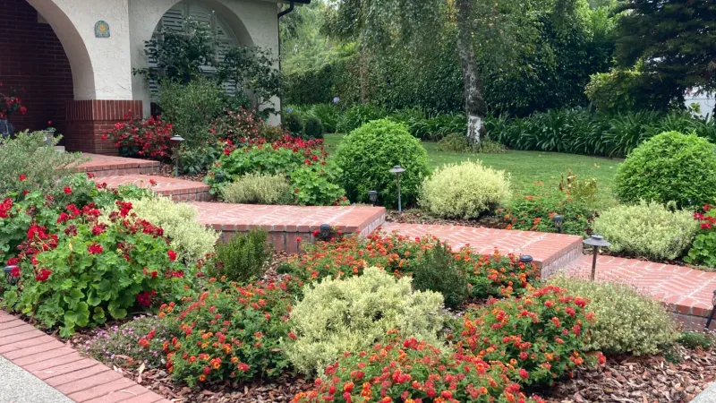 A mixture of colors and textures featuring blooming geraniums and lantana 
