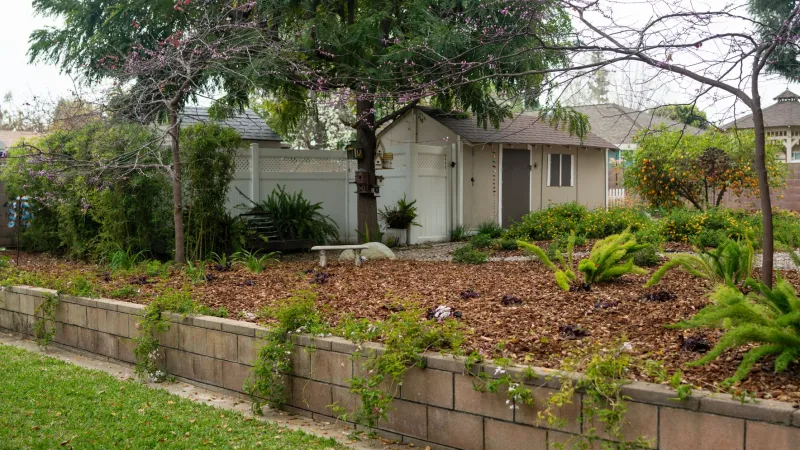 A serene garden with lush plants, a fence, and a cozy house in the background, creating a peaceful atmosphere.