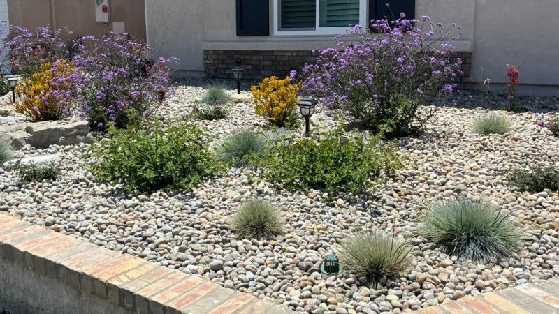 A blooming, colorful low maintenance rock garden