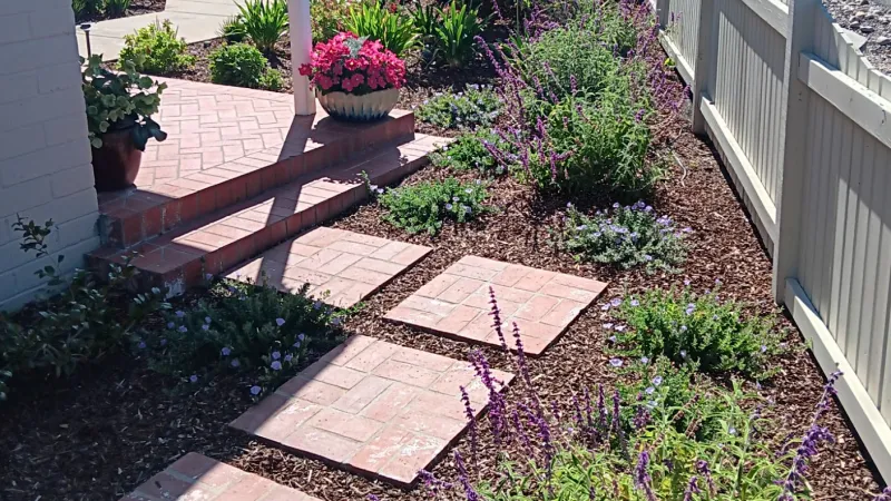 Blooming potted plants accent the salvias surrounding this pathway