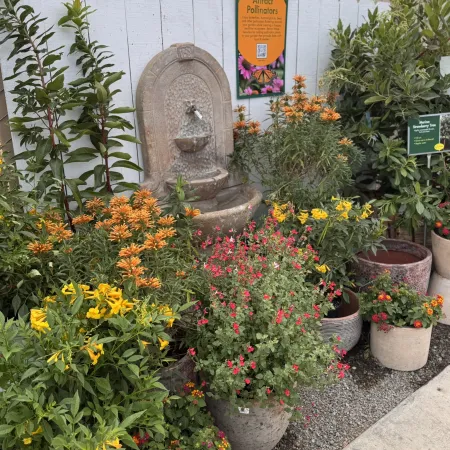 Outdoor garden display with colorful flowering plants surrounding a stone wall fountain under a white fence.