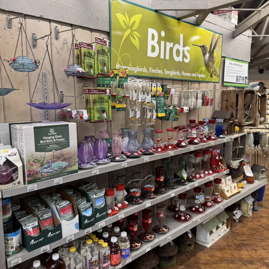 Store display of bird feeders, baths, and accessories under a Birds sign with hummingbird images in a wooden building.
