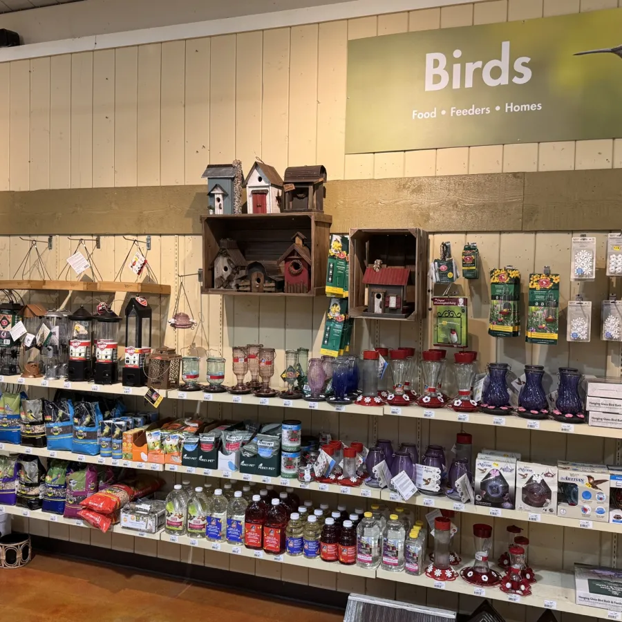 Store shelf display with bird feeders, birdhouses, seeds, and bird care products under Birds sign