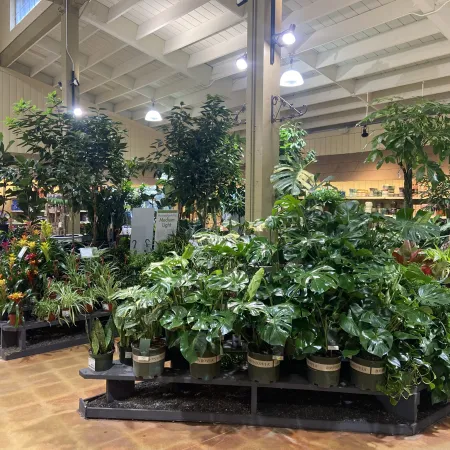 Indoor plant nursery with a variety of potted green and flowering plants under bright ceiling lights.
