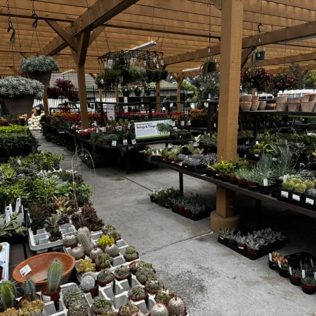 Indoor garden center with wooden beams selling various potted plants, succulents, and hanging flower baskets.