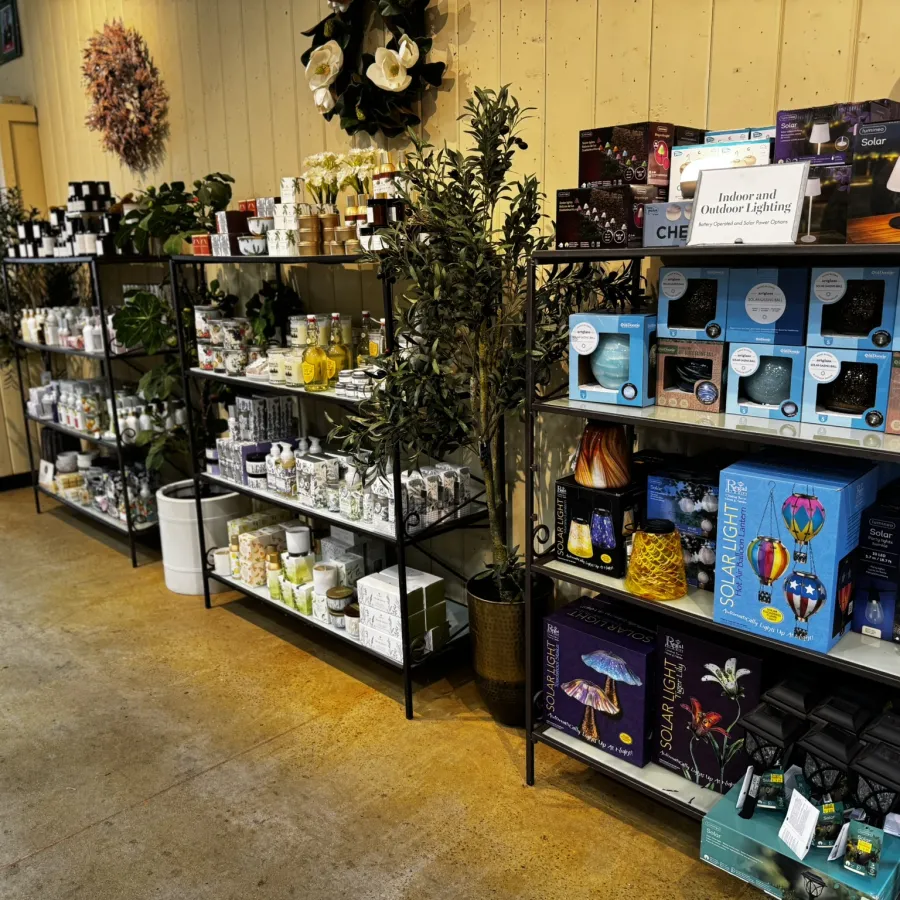 Indoor retail display with shelves holding candles, lamps, plants, and outdoor lighting products in a cozy store.