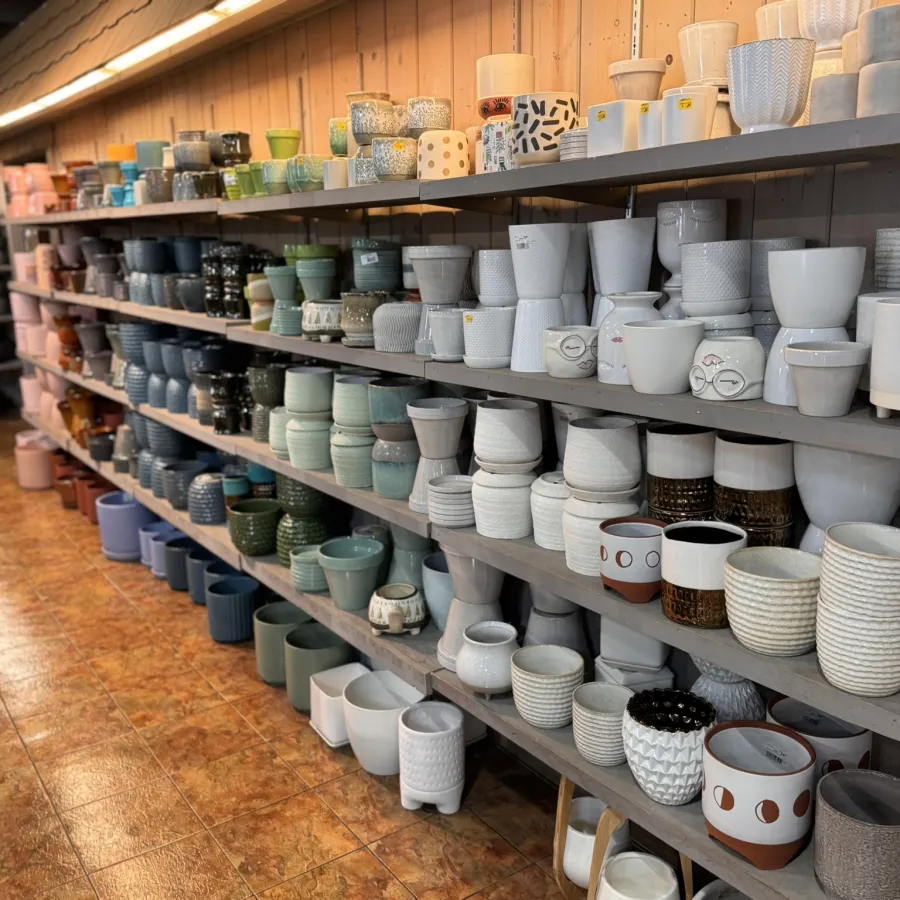 Shelves filled with various ceramic and clay plant pots in different shapes, sizes, and colors in a store.