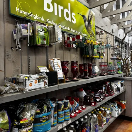 Shelves stocked with bird feeders, seeds, and supplies under a green Birds section sign in a store aisle.