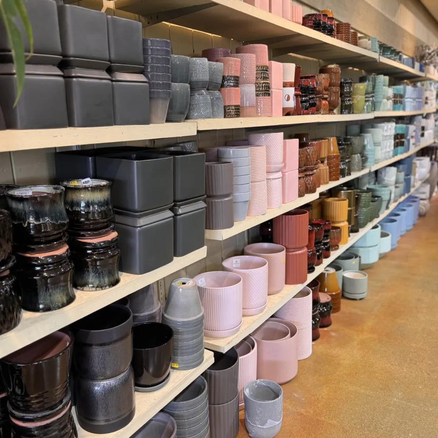 Shelves filled with various colorful ceramic pots and planters in a store aisle with polished floor.