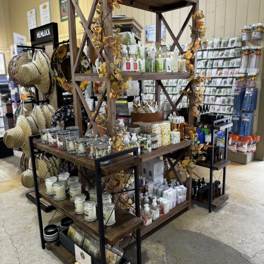 Rustic wooden shelves decorated with autumn leaves displaying candles, lotions, and gift products in a store.