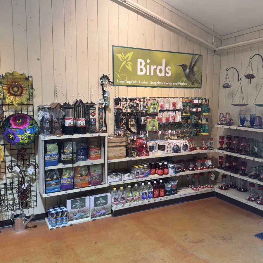 Store display with bird feeders, birdhouses, bird food, and decorative garden items under a Birds sign.
