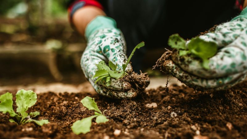 Horticulture
