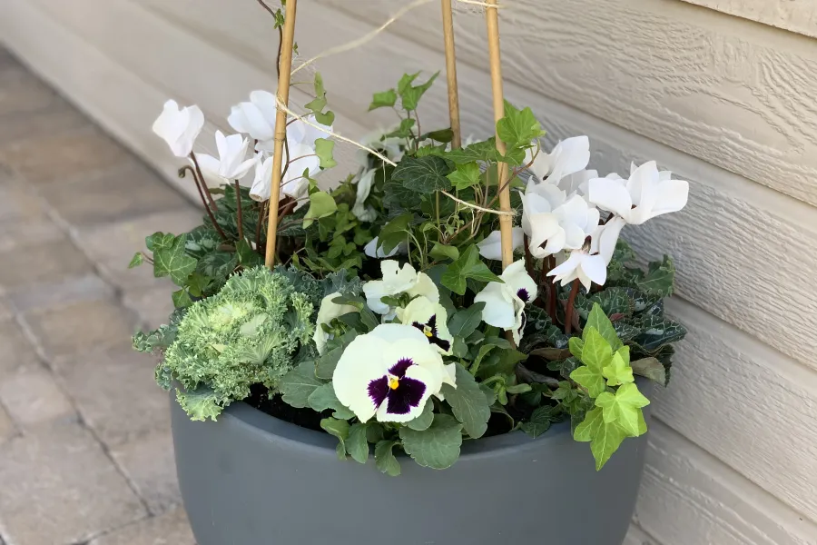 a vase of flowers on a table