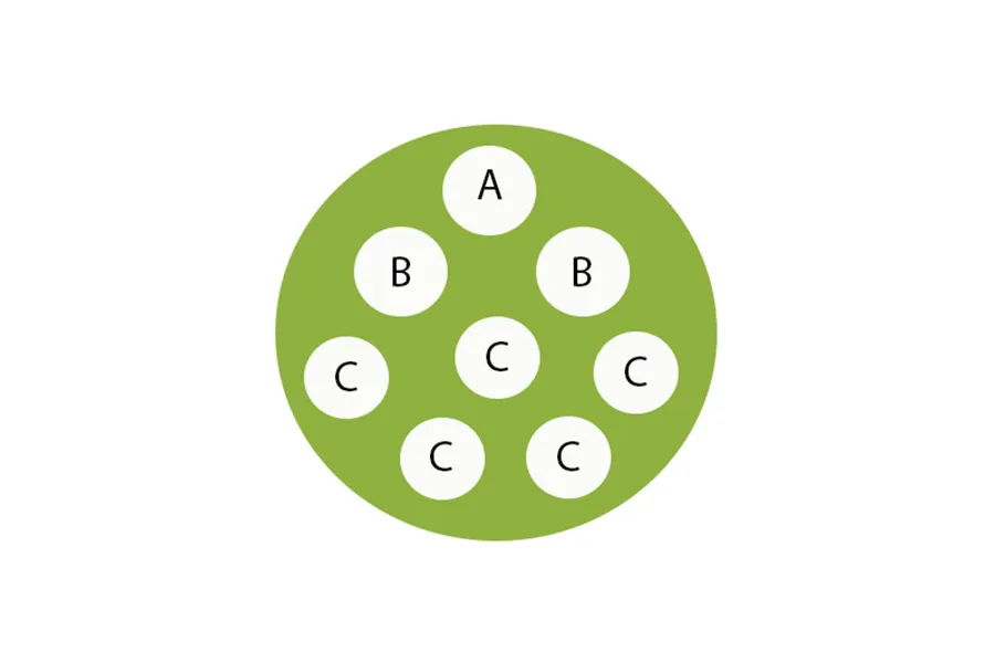Planting diagram for outdoor Christmas container garden