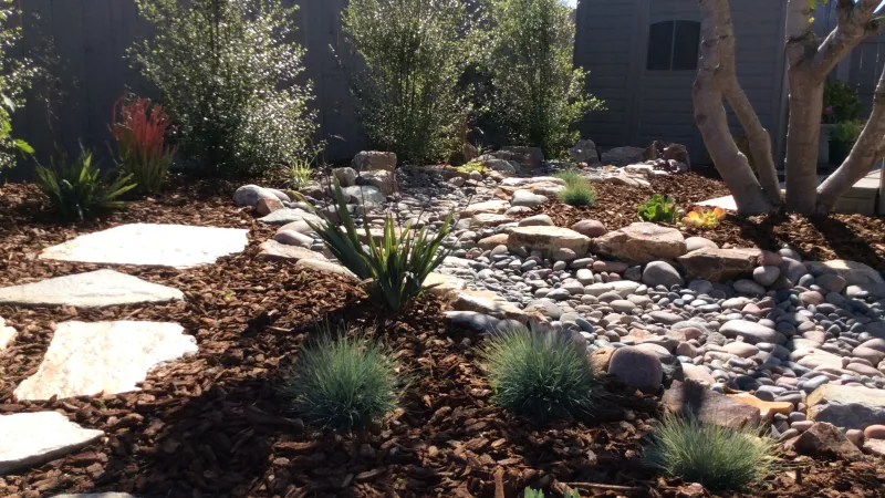 Drought tolerant turf rebate feature - dry stream bed.