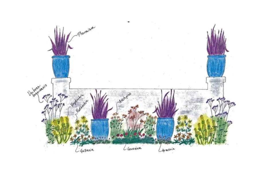 drawing of a garden