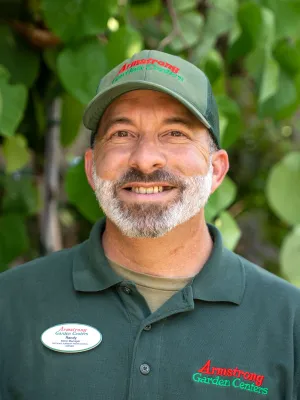 Randy North, Store Manager