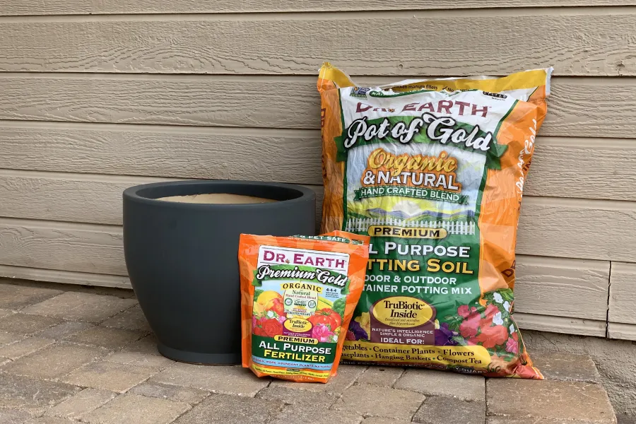 a vase of flowers on a table