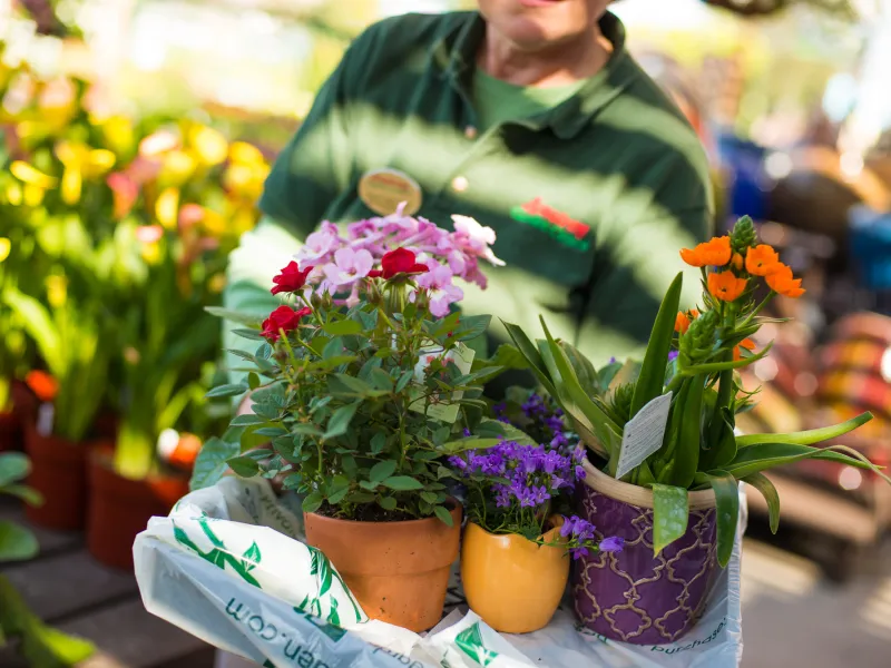 Armstrong associate holding flowers