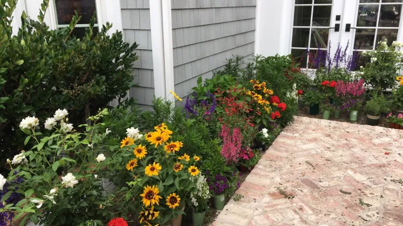 A colorful English garden.