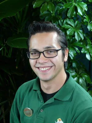 David Rodriguez, Manager