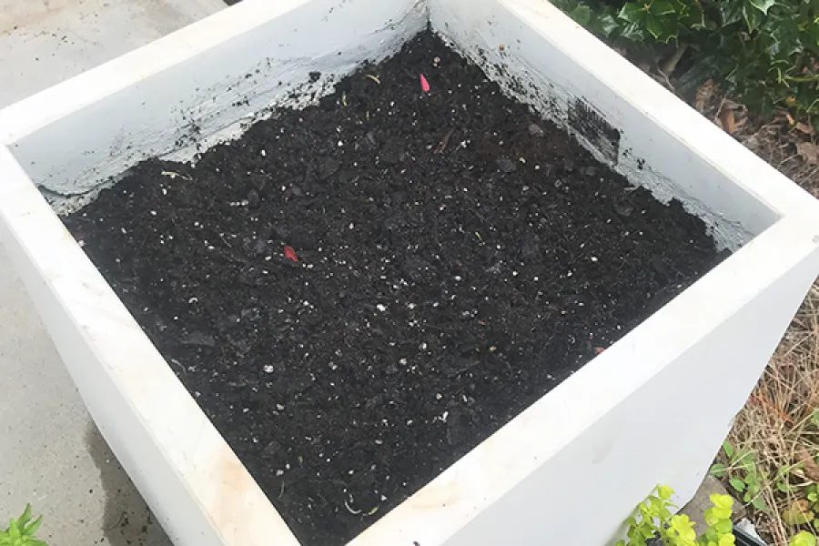 Pot filled with potting soil