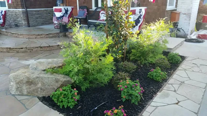 Small garden refresh.