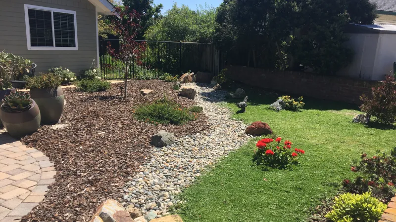 Front lawn removal and drought tolerant landscaping.
