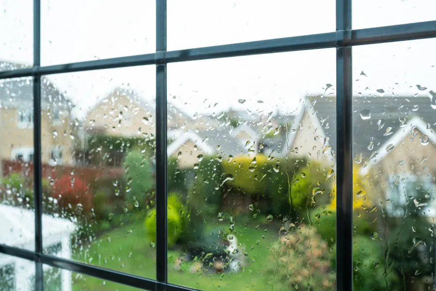 a view through a window of a garden during a storm