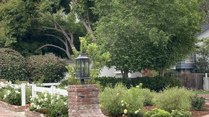 Iceberg roses compliment the white rail fence in this design