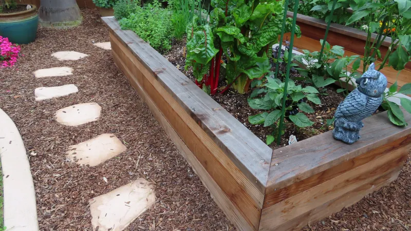 Edible garden in a custom raised bed