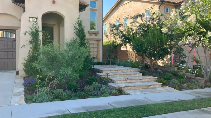 Crepe myrtle trees provide beauty and privacy along the property line in this Coto de Caza landscape
