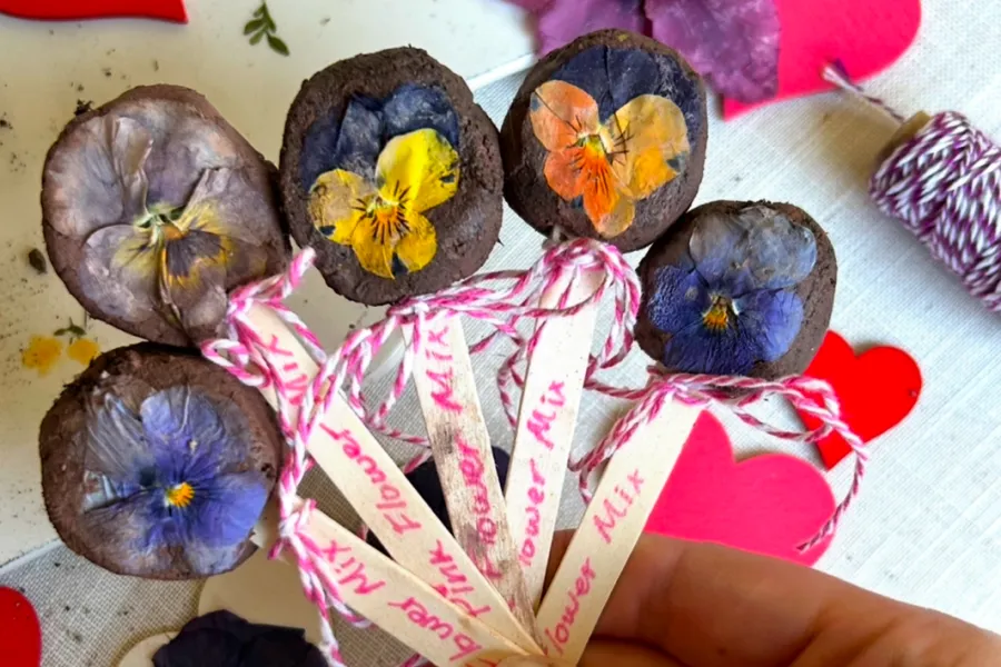 a hand holding a paper bag with carved pumpkins