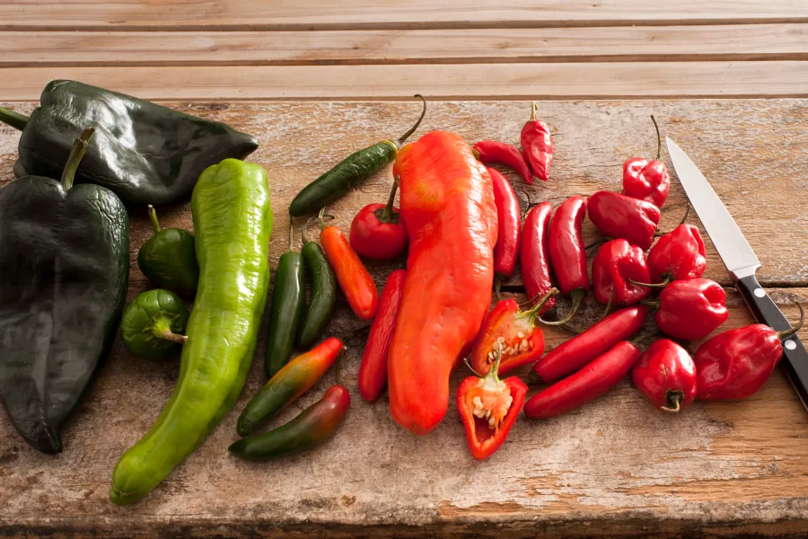 many types of peppers