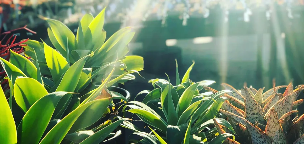 a group of people standing in front of a crowd
