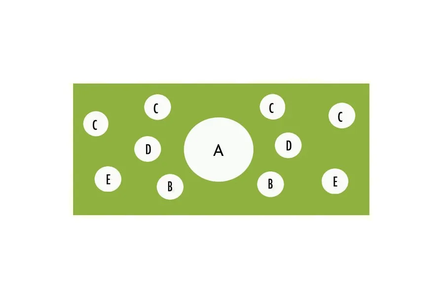 patriotic windowbox plant diagram