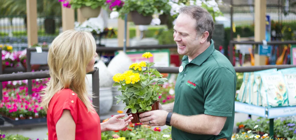 a man and a woman standing in front of a flower
