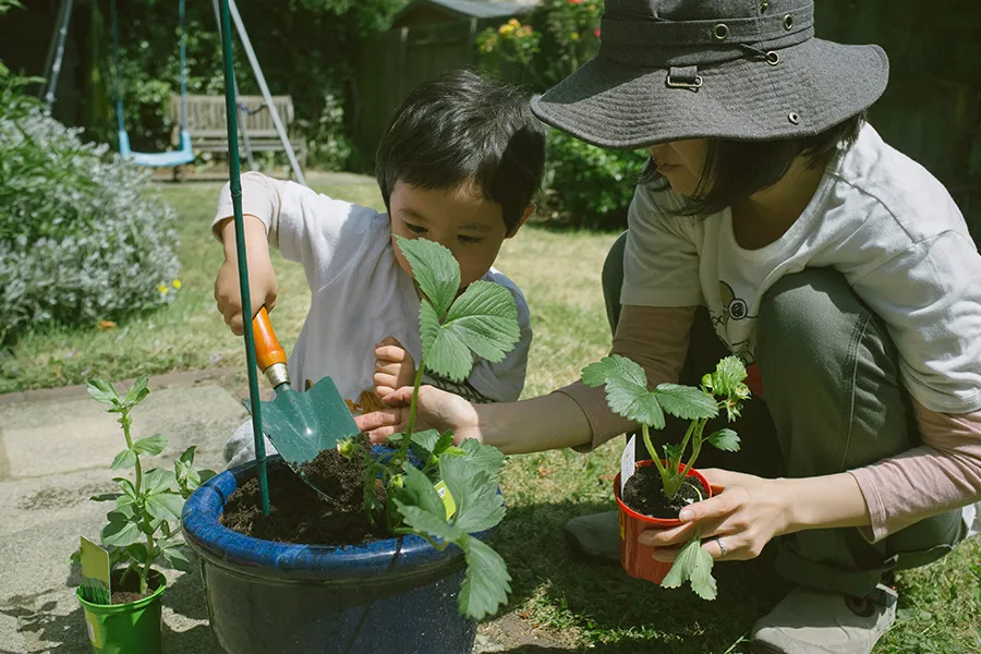 boy and mom putting soil into strawberry pot