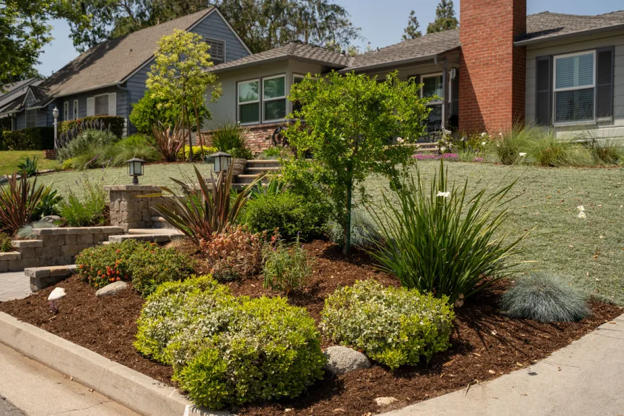 a garden in front of a house