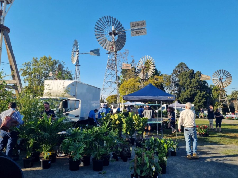 Big Box Inquiry - Horticultural growers are doing our bit to tackle