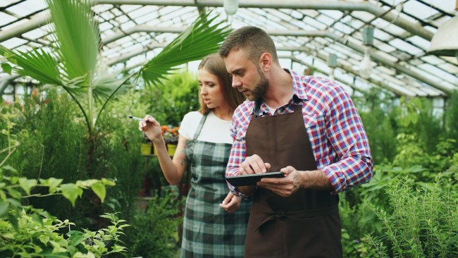 Greenlife industry employees in greenhouse