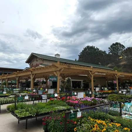 Outdoor garden center with diverse colorful flowers and plants under a wooden pergola on a cloudy day.