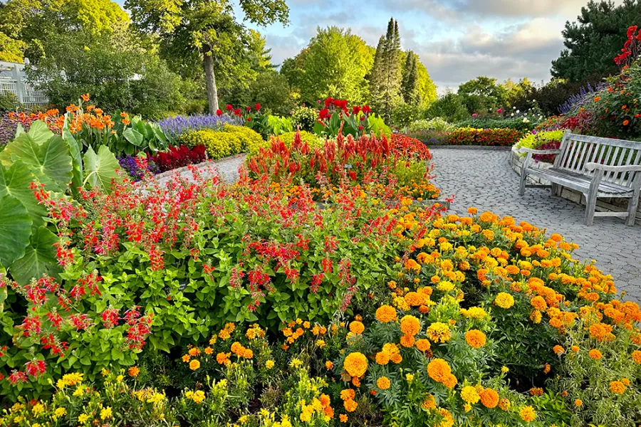 Curved garden path with vibrant red, orange, and yellow flowers surrounded by green trees and benches.